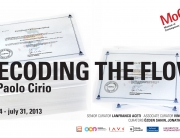 Decoding the Flow